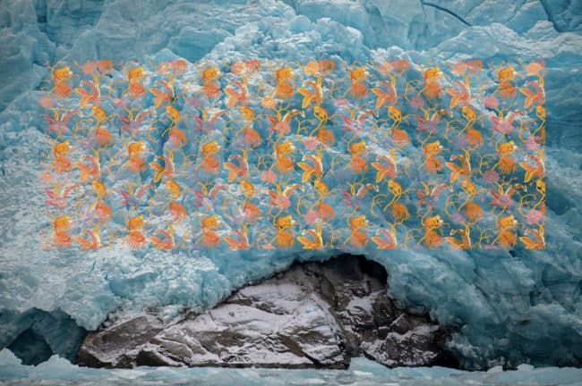 Opening Reception: POOL Inaugural Exhibition