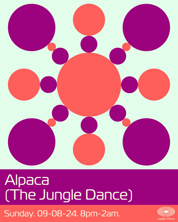 Jupiter Disco photo 5