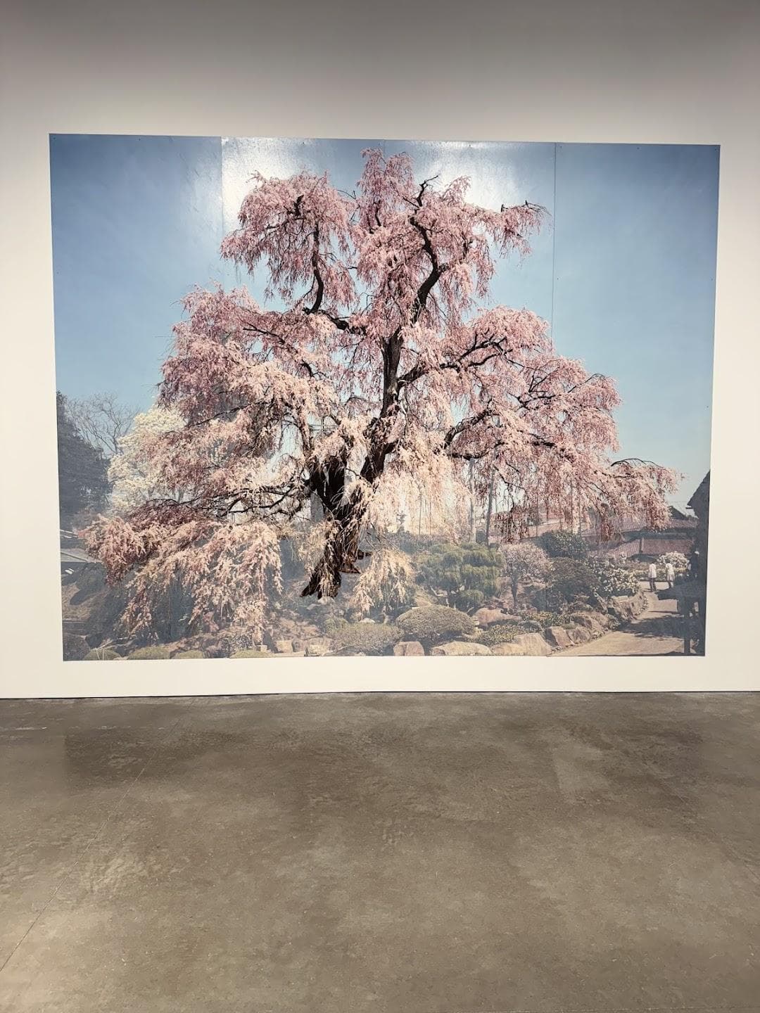 Morgan Lehman Gallery photo 1