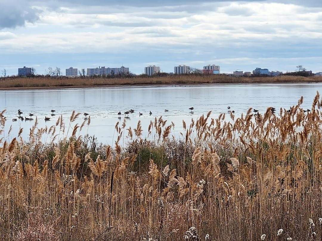Jamaica Bay Wildlife Refuge photo 5