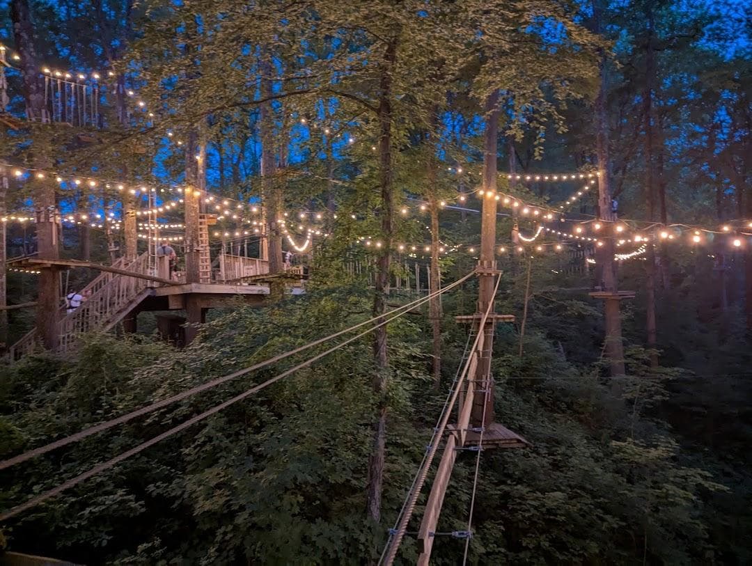 Treescape Aerial Adventure Park photo 2