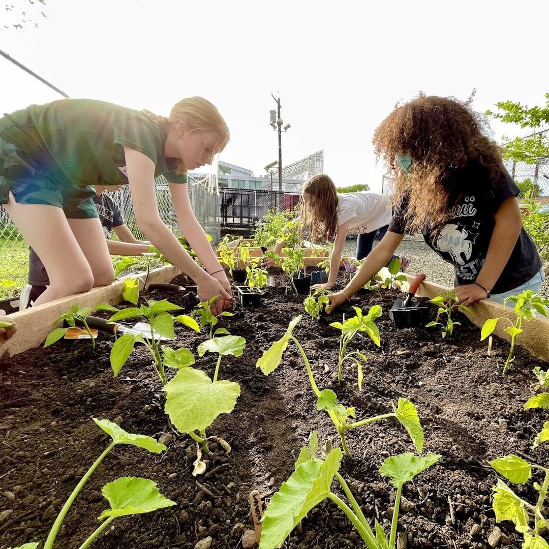 RCE Learning Garden Lincoln Park photo 5