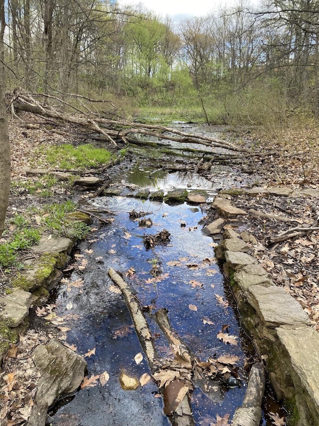 Seton Falls Park photo 2