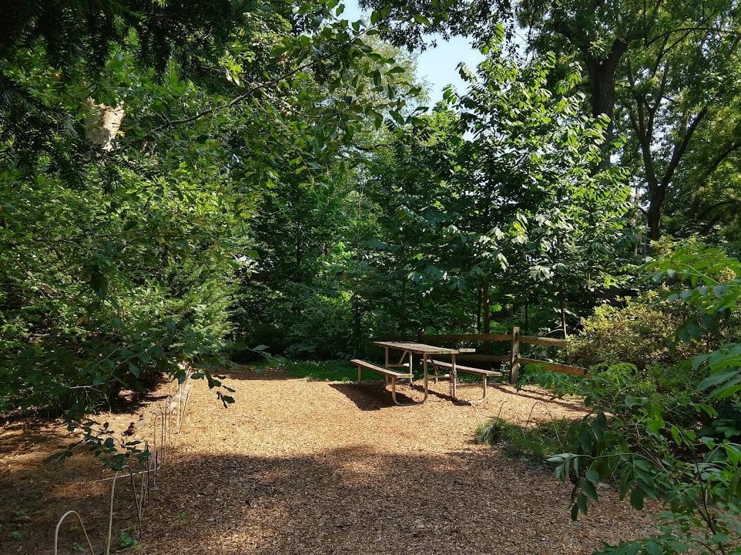 Biopond photo 3