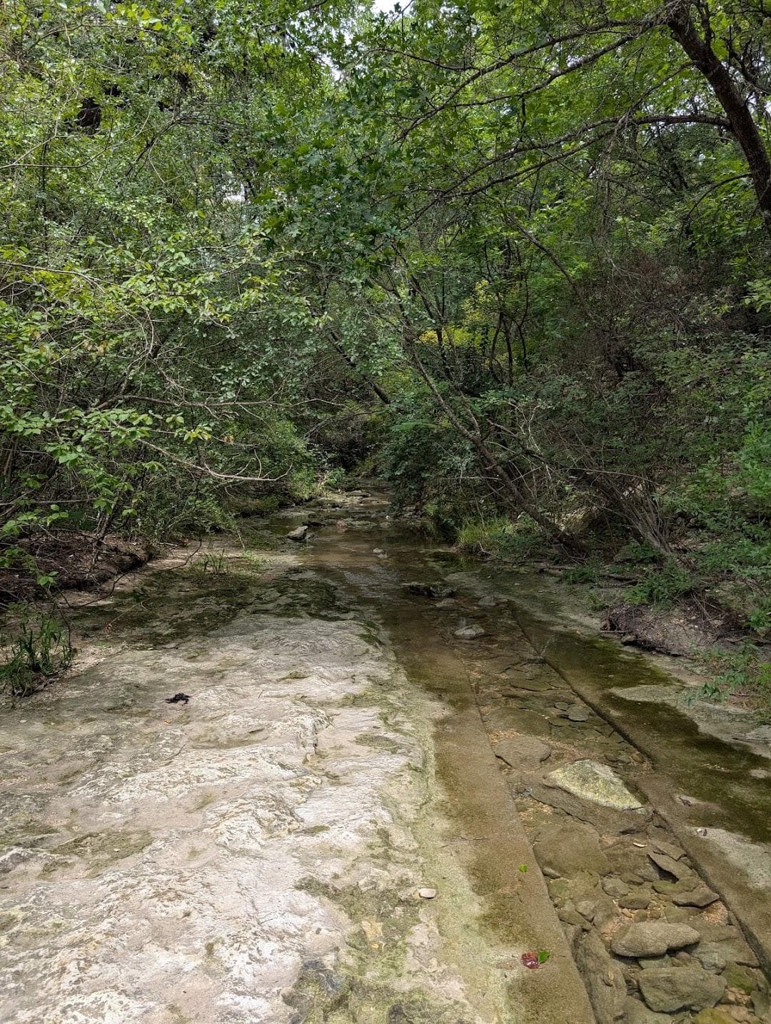 Blunn Creek Nature Preserve photo 2
