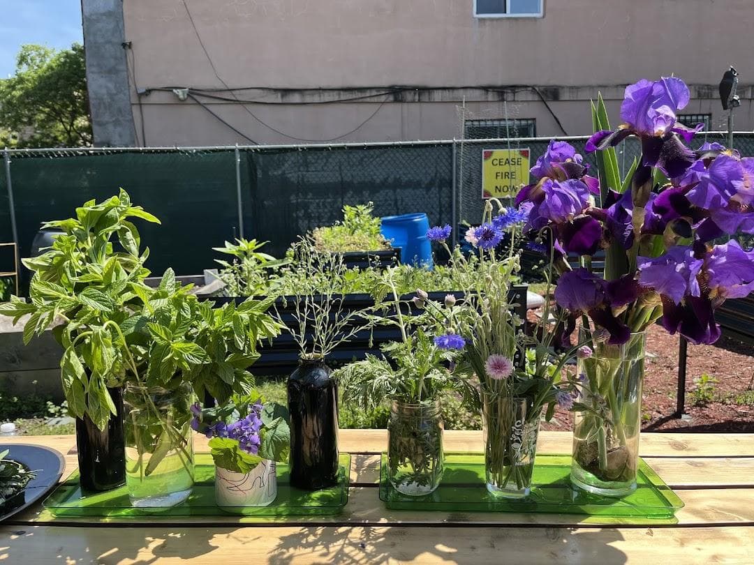 Patchen Community Square Garden photo 6