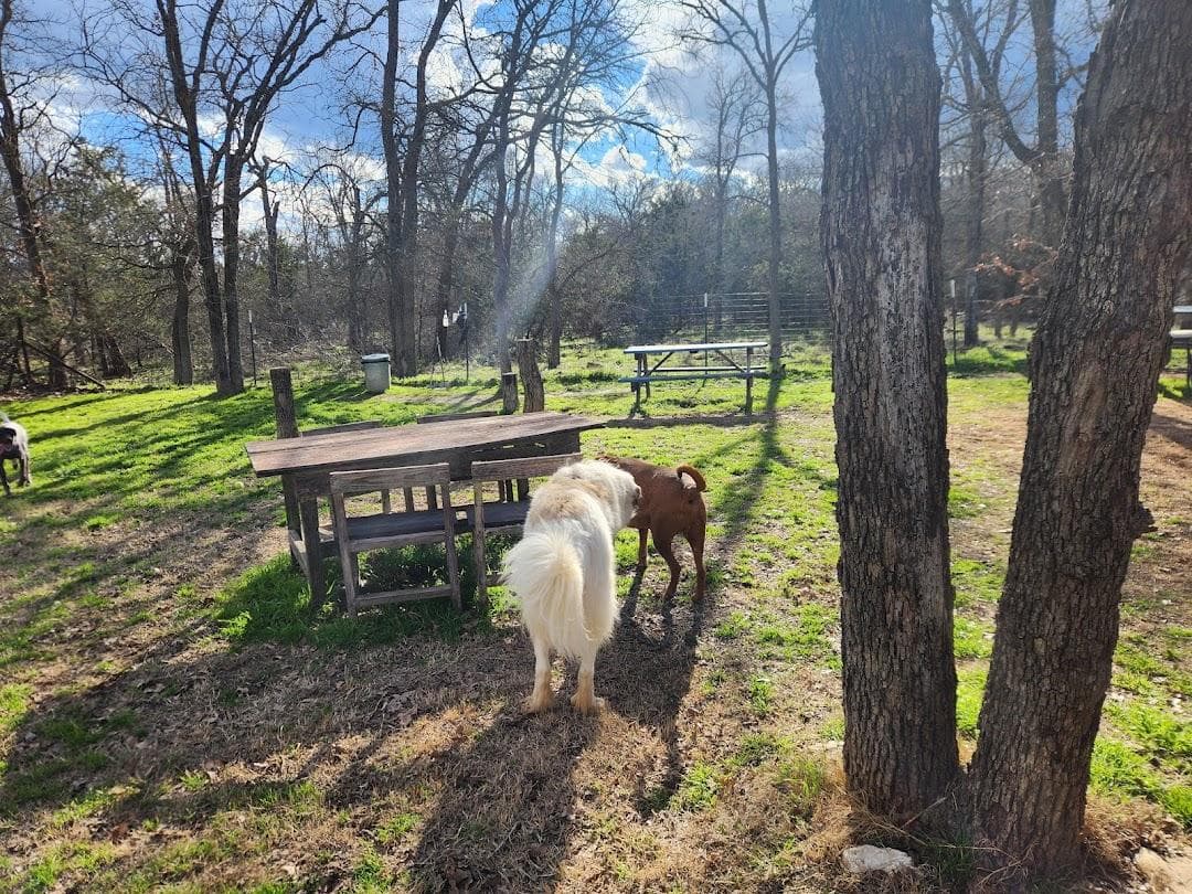 Dog House Drinkery & Dog Park photo 1