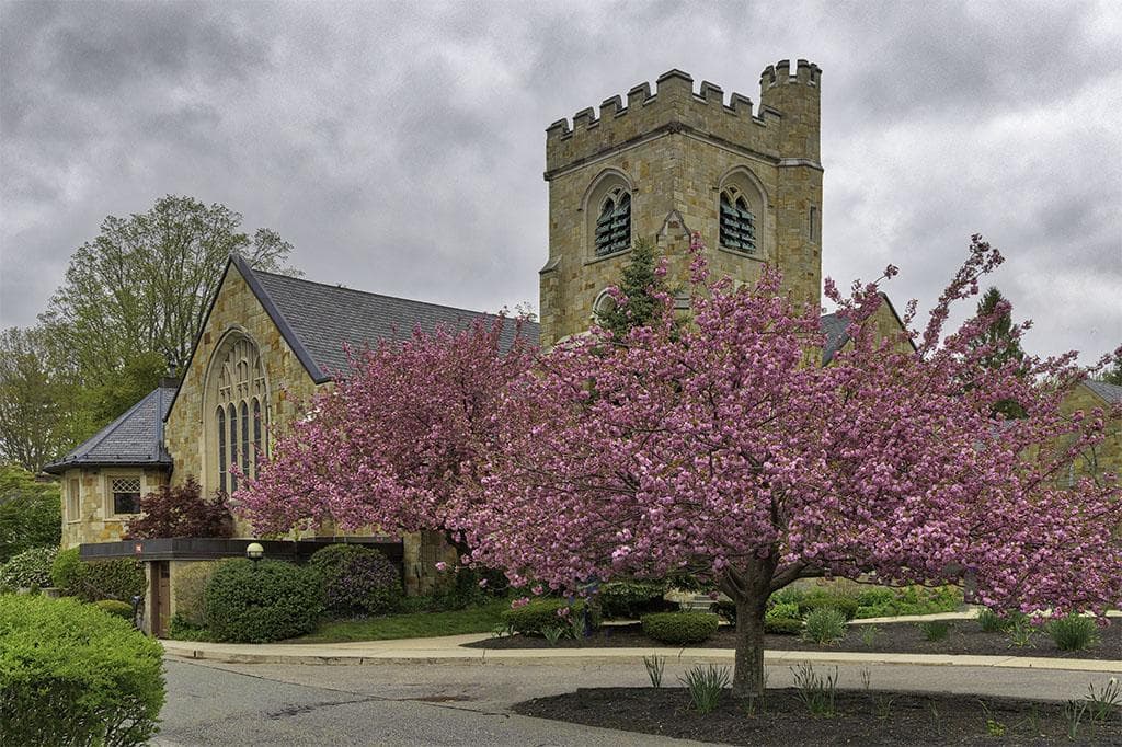 Wellesley Hills Congregational photo 2