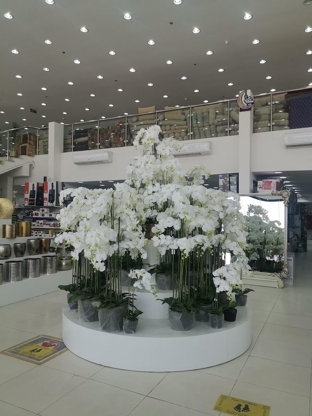 Zone One photo 3