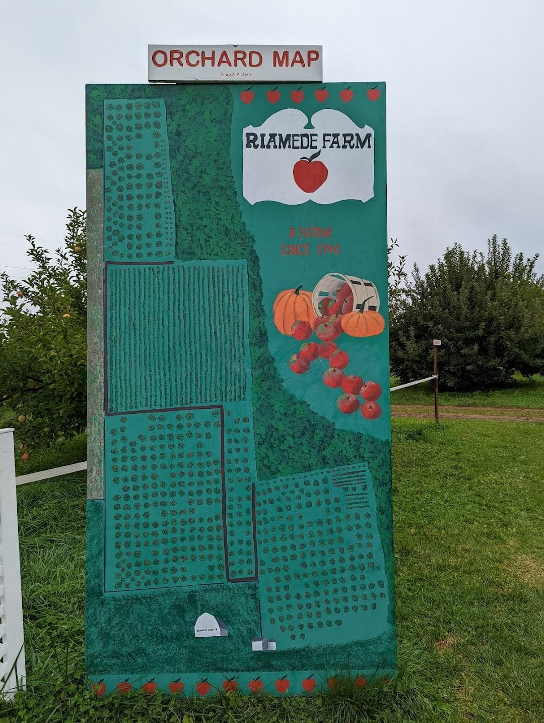Riamede Farm photo 4