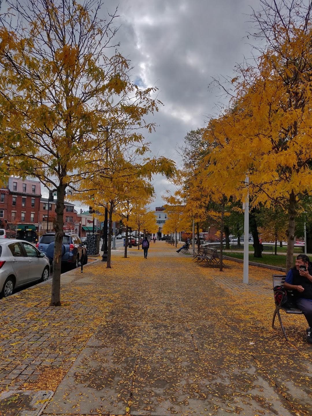 Central Square Park photo 4
