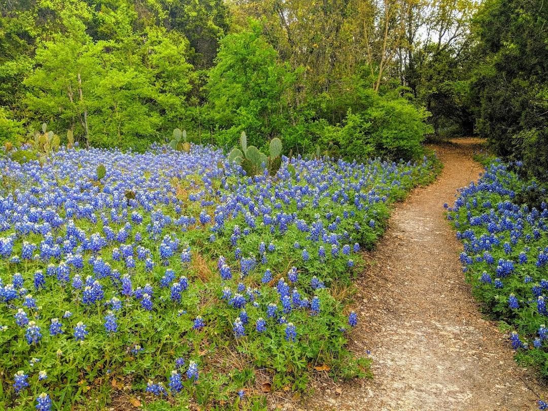 Blunn Creek Nature Preserve photo 4