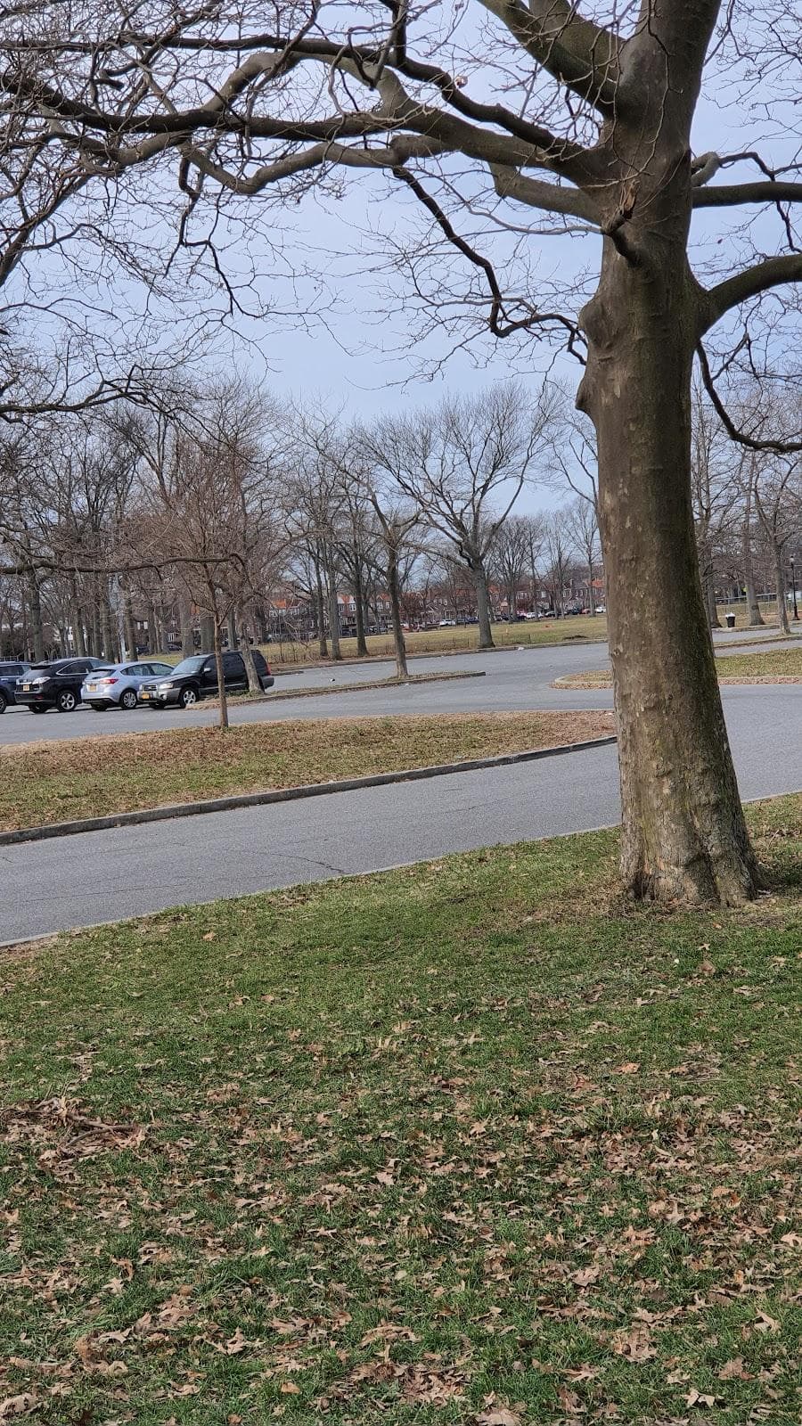 Brooklyn Marine Park - Parking Lot photo 2