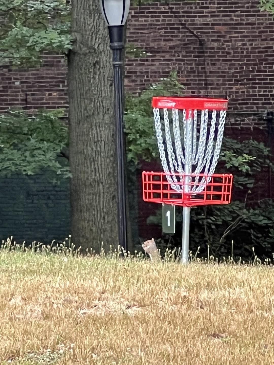 Highland Park Disc Golf Course photo 2
