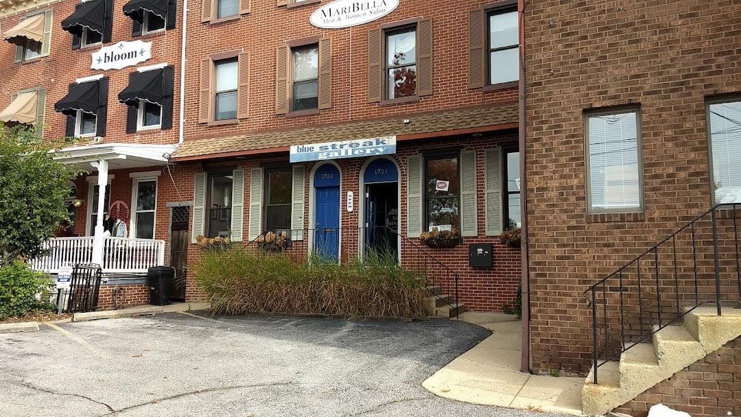 Blue Streak Gallery Inc photo 2