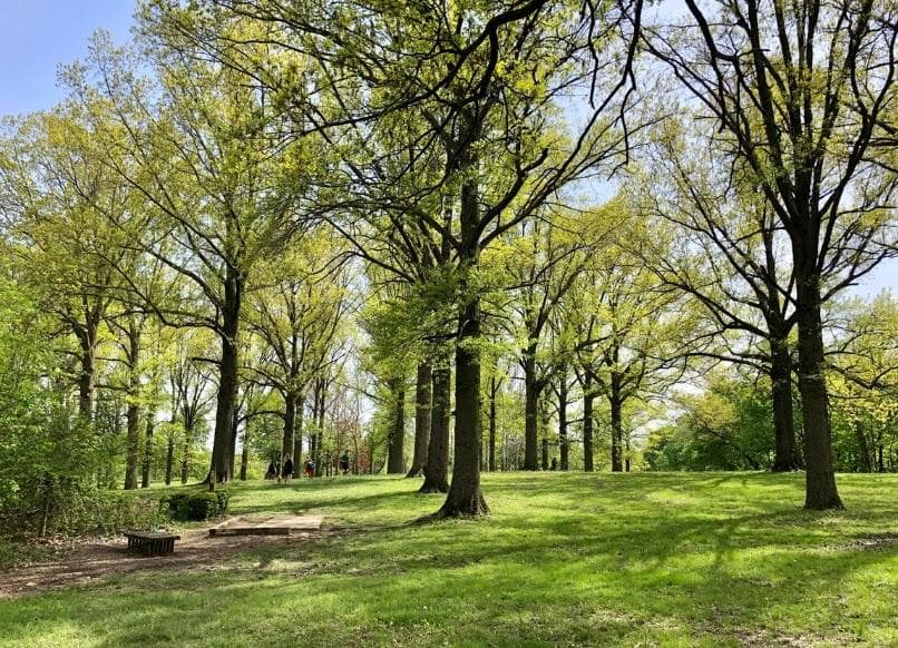 Highland Park Disc Golf Course photo 5