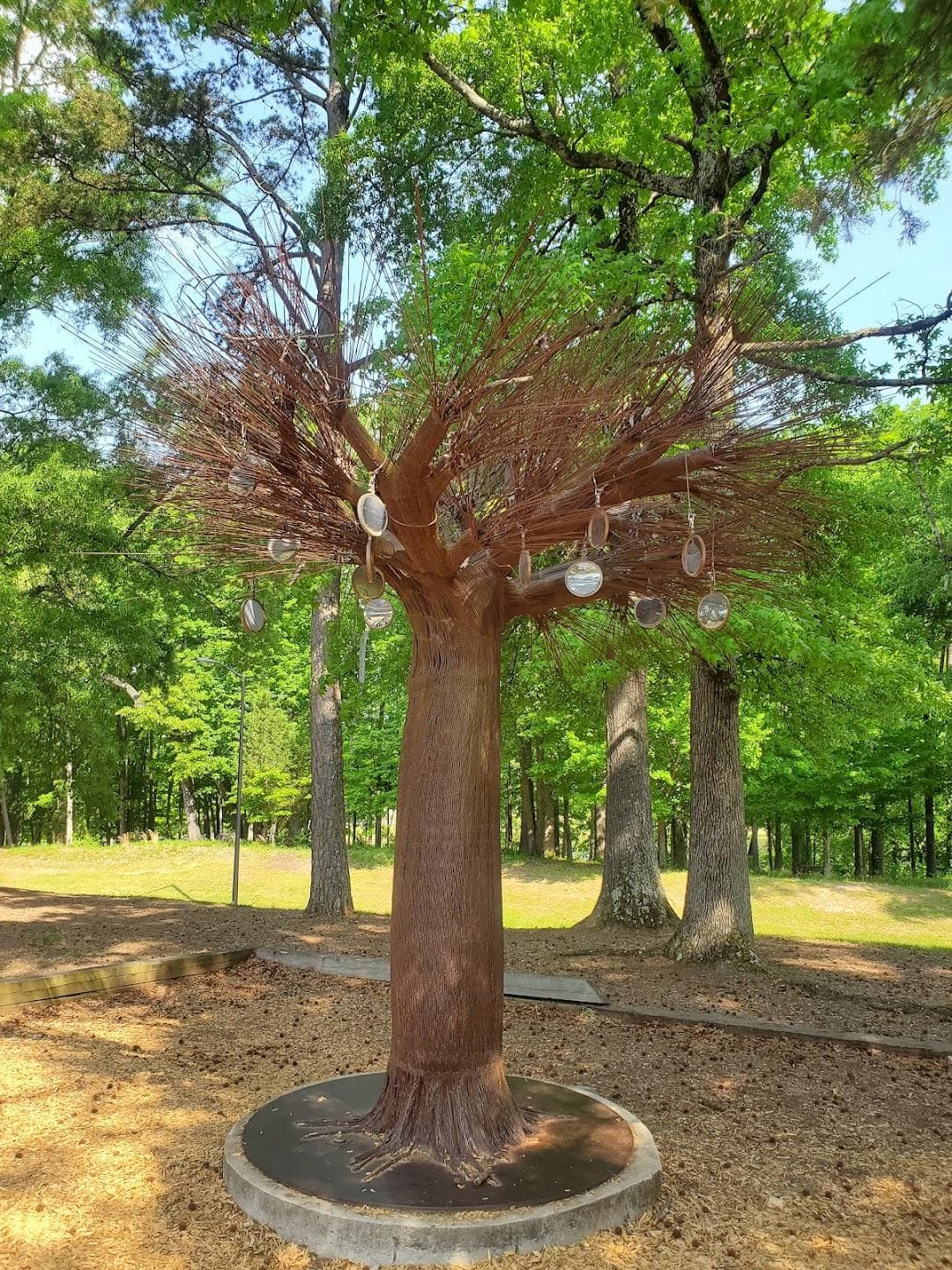 Park Road Park photo 2