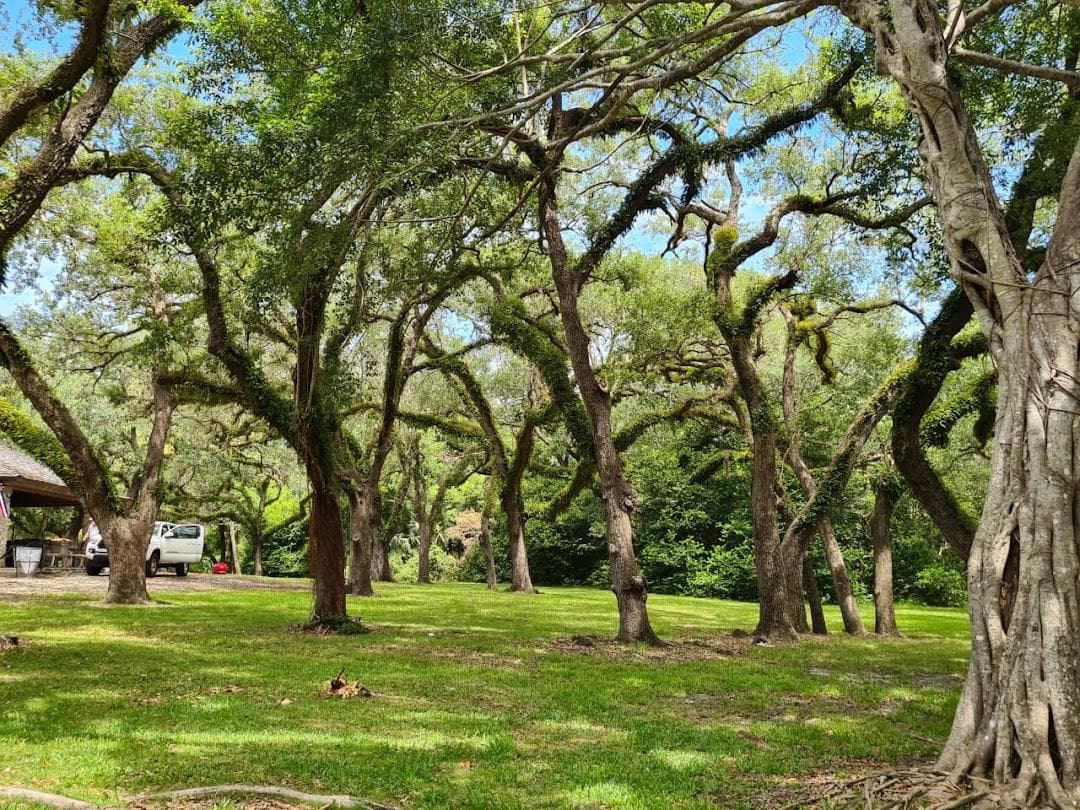 Greynolds Park photo 1