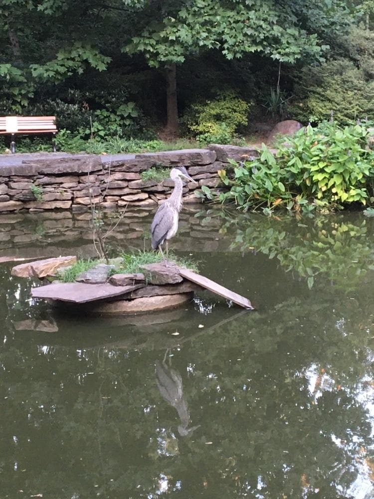 Biopond photo 1