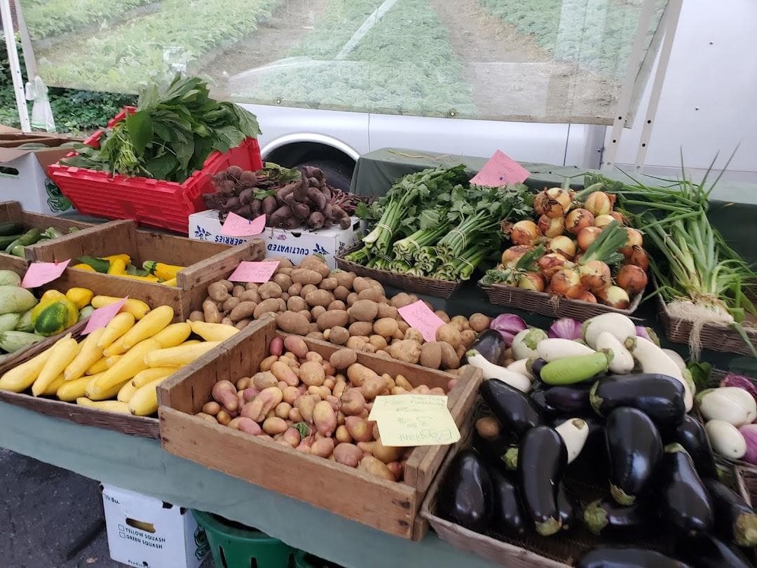 Brookline Farmers' Market photo 4