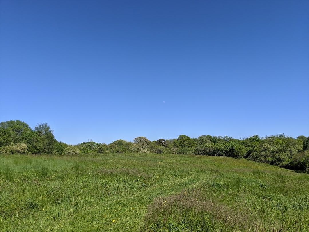 Long Pasture Wildlife Sanctuary photo 6