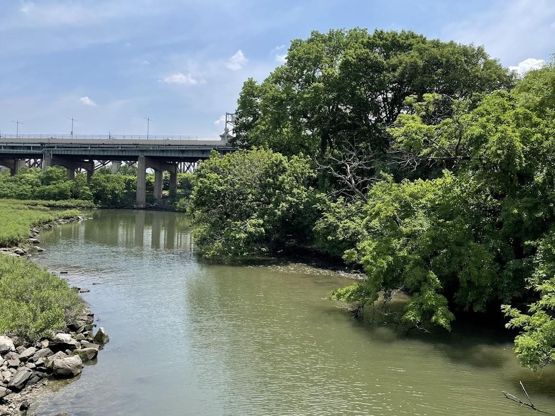 Little Hell Gate Salt Marsh photo 1