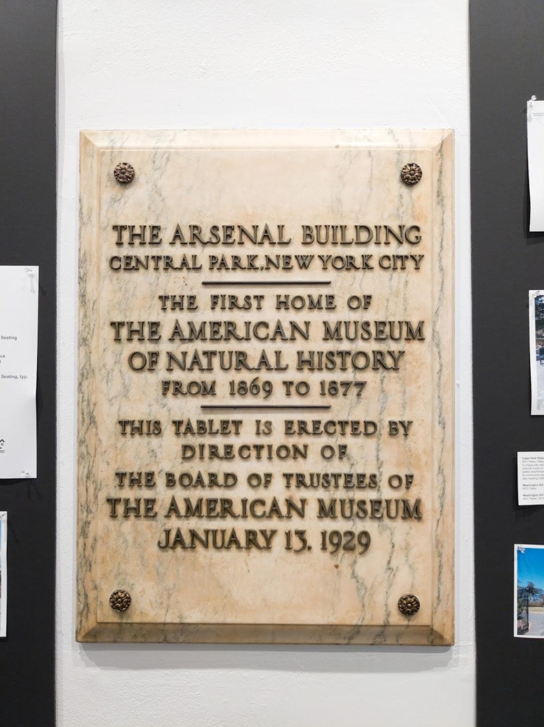 The Arsenal photo 3