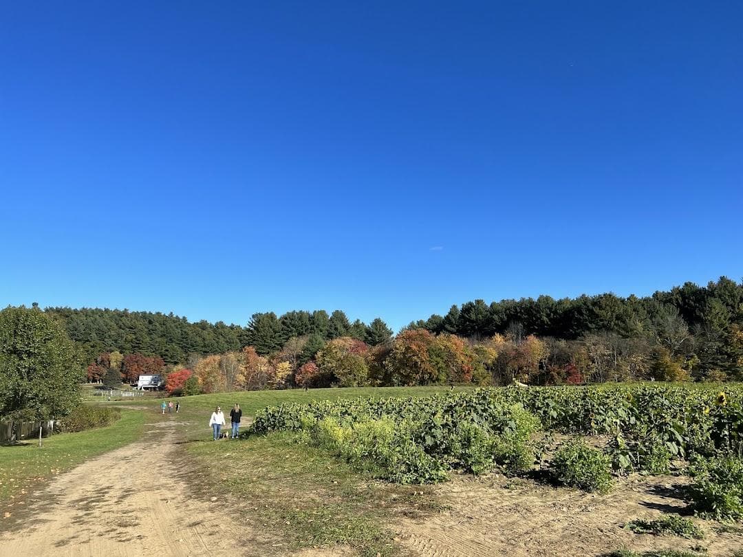 Hanson's Farm photo 5