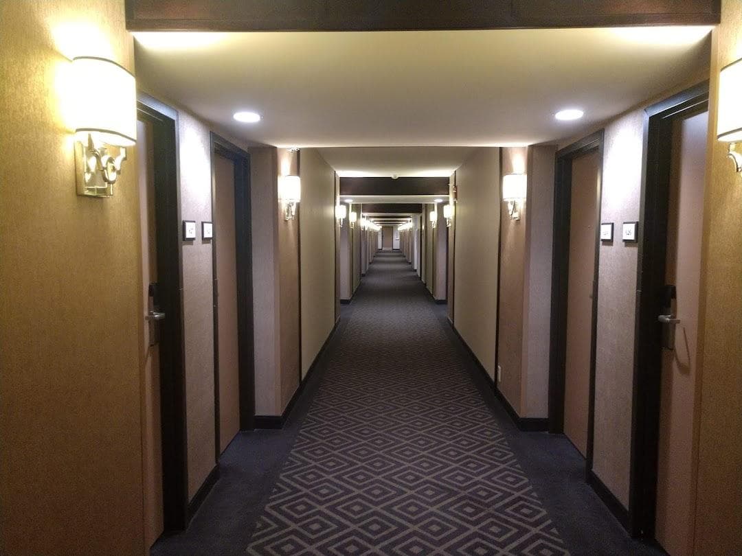 Sheraton Charlotte Airport Hotel photo 6