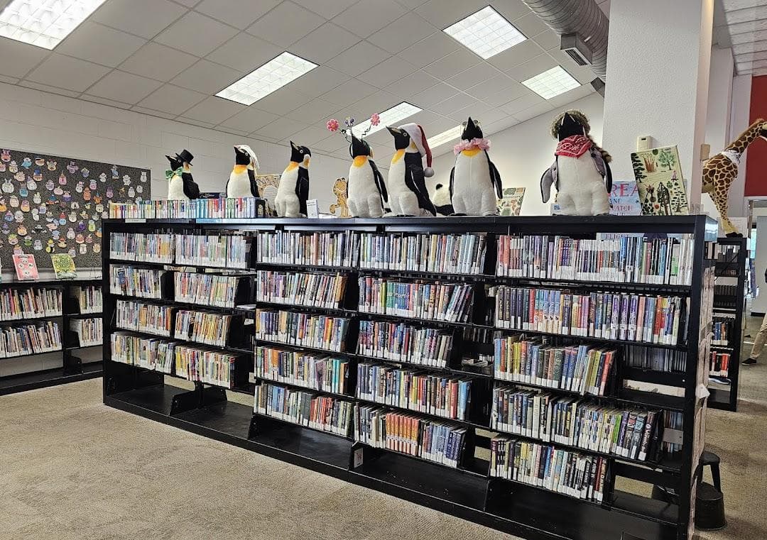 Spicewood Springs Branch, Austin Public Library photo 1