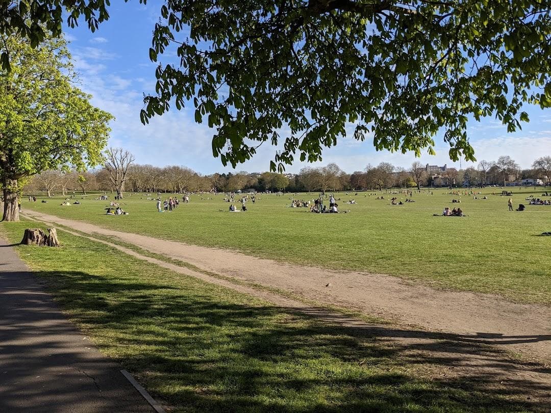 Peckham Rye Park & Common photo 6