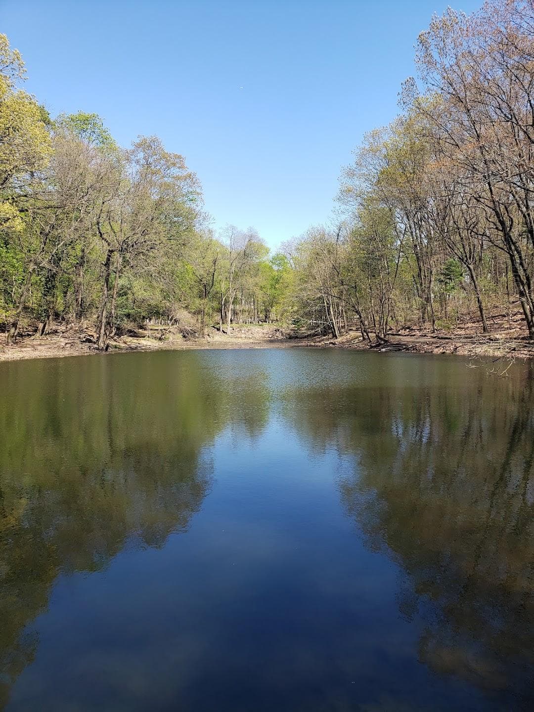 Jones Woods Park photo 1