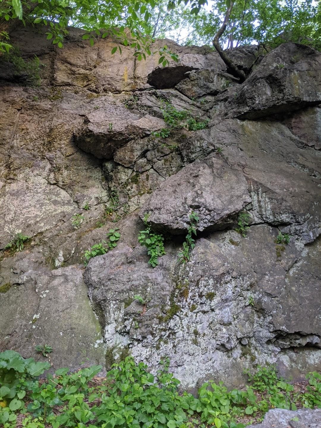Nira Rock Urban Wild photo 3
