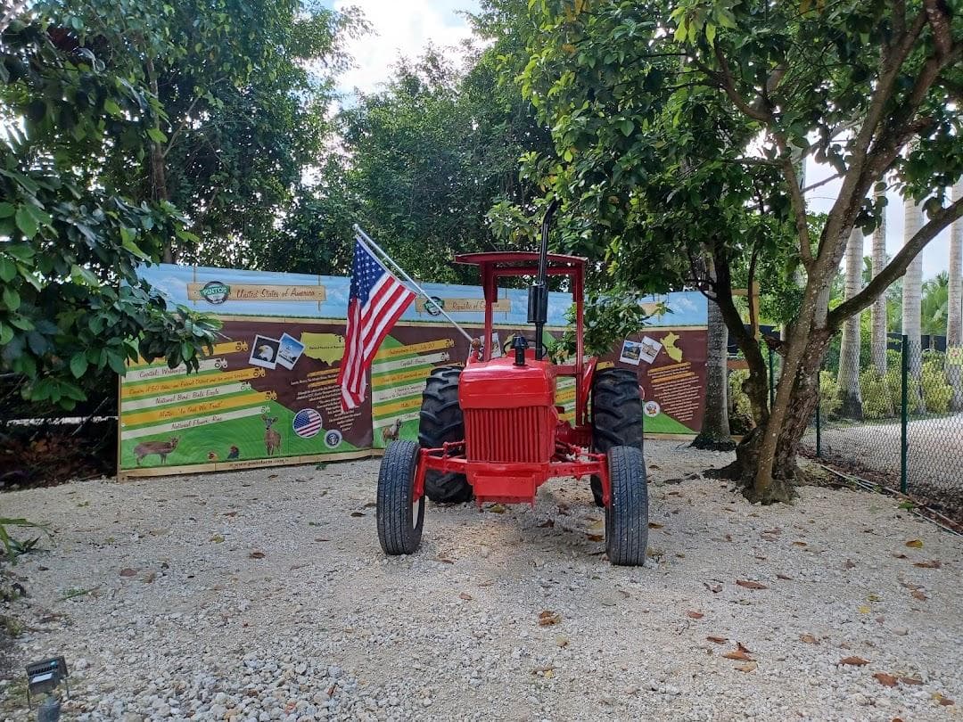 Pinto's Farm photo 5