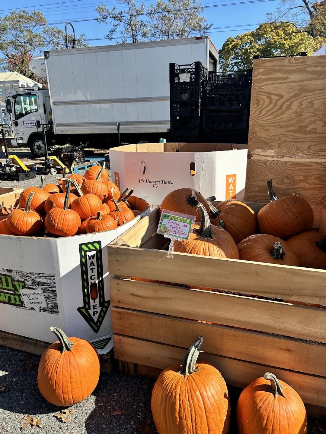 Montclair Farmers Market Walnut St. Station photo 3