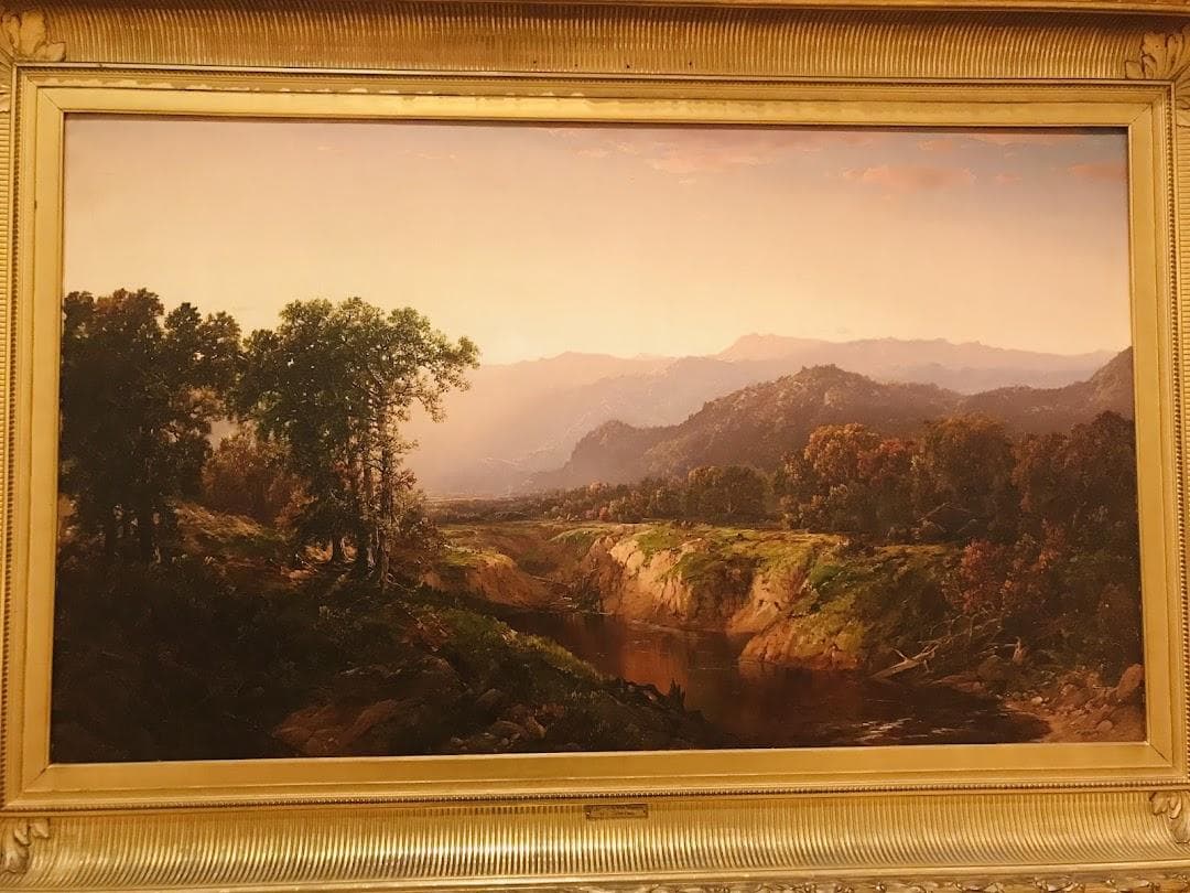 Davis Museum photo 3