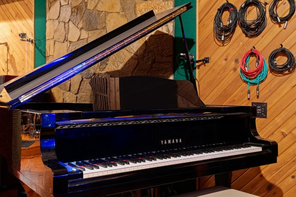 Los Depressos Recording Studio photo 5