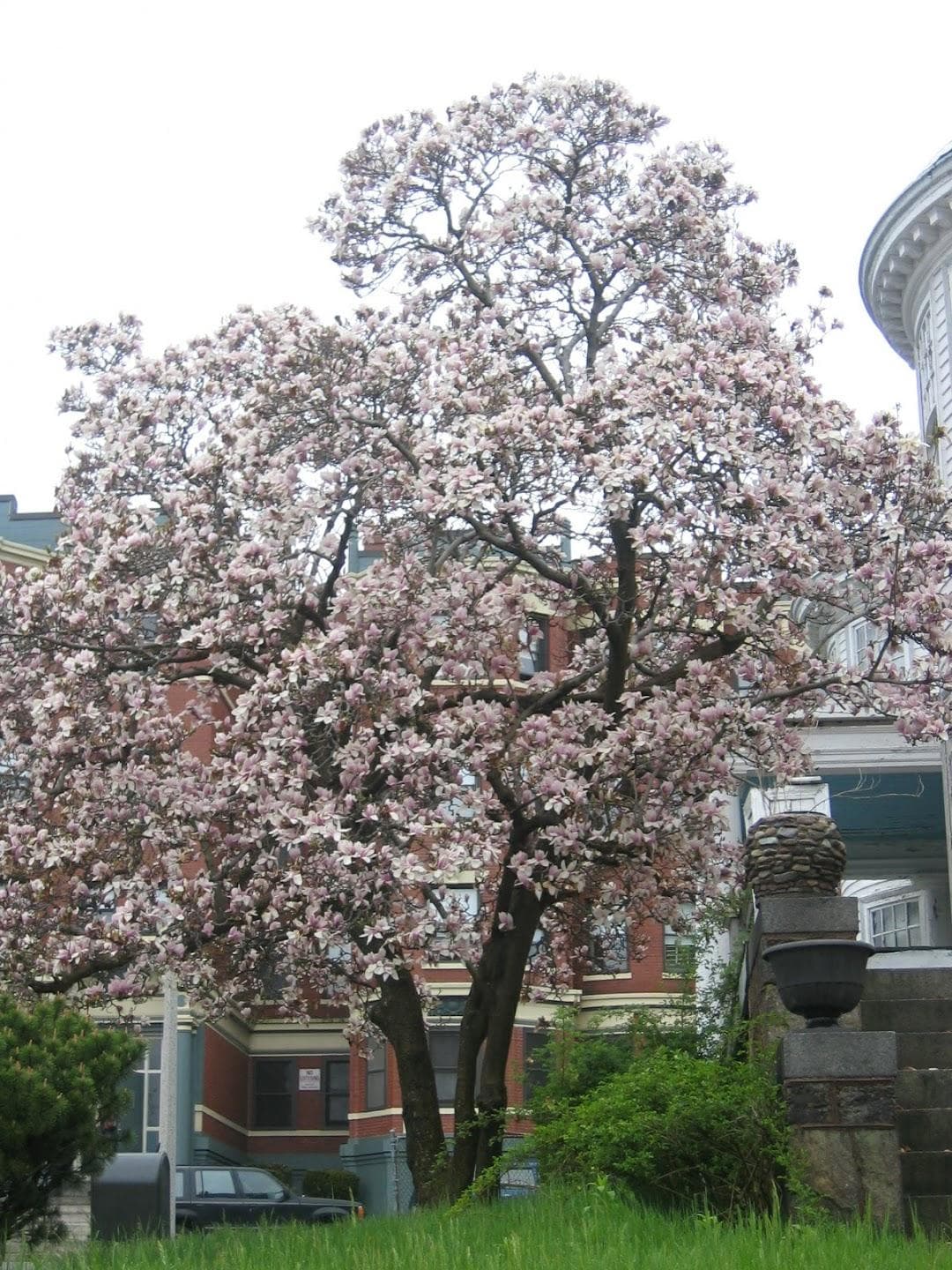 Dorchester photo 3