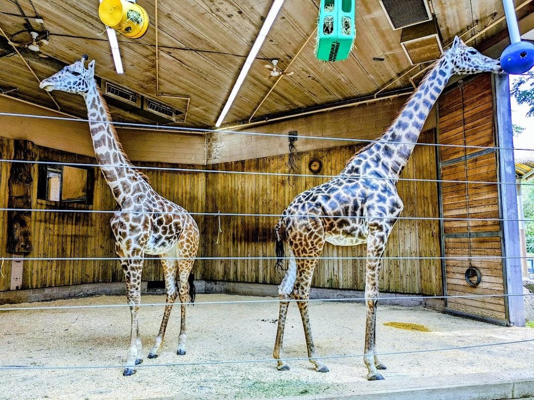 Roger Williams Park Zoo photo 3