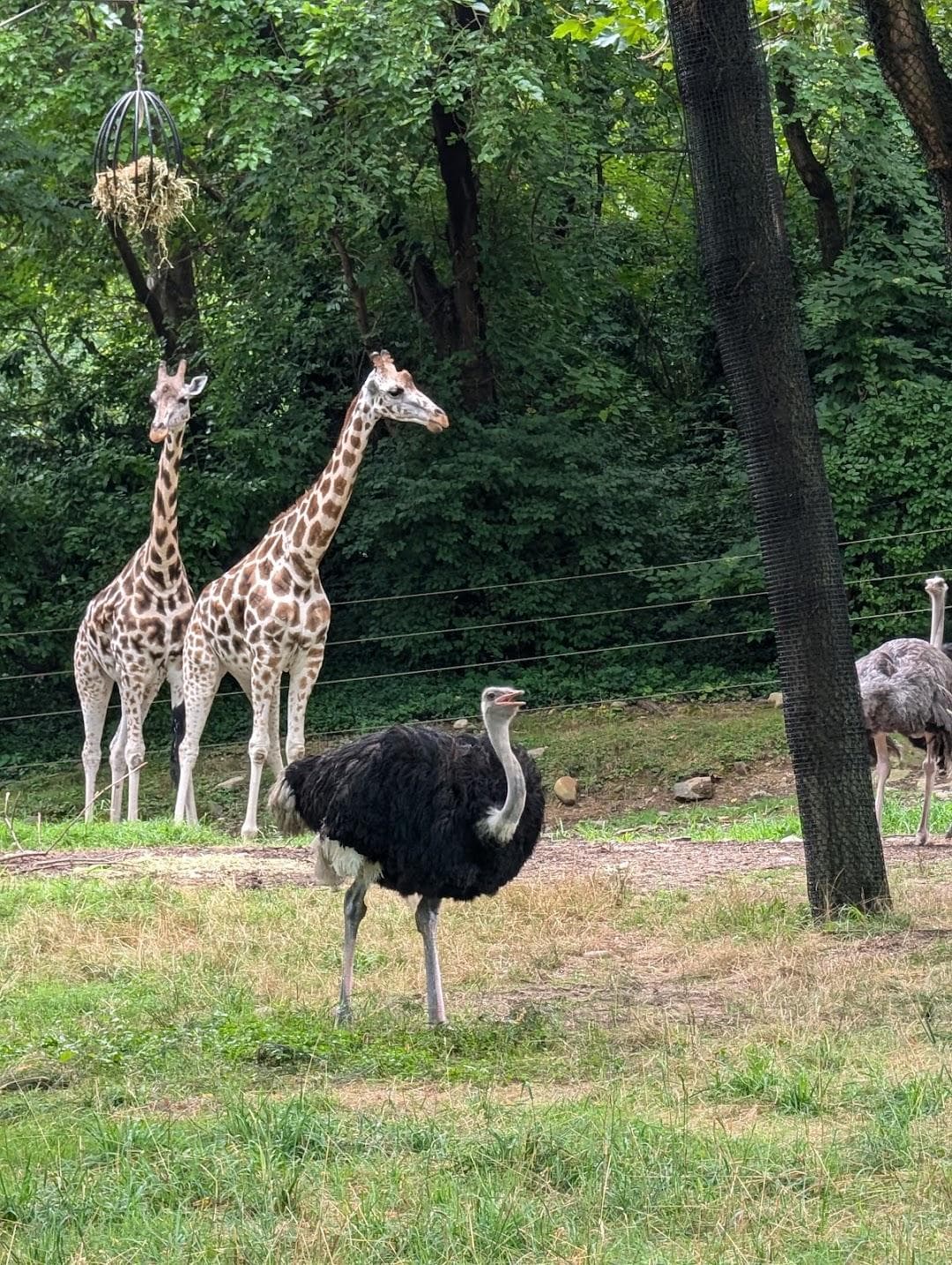 Bronx Park photo 4