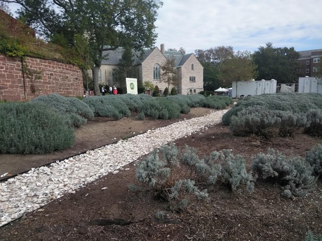 The Yard photo 5