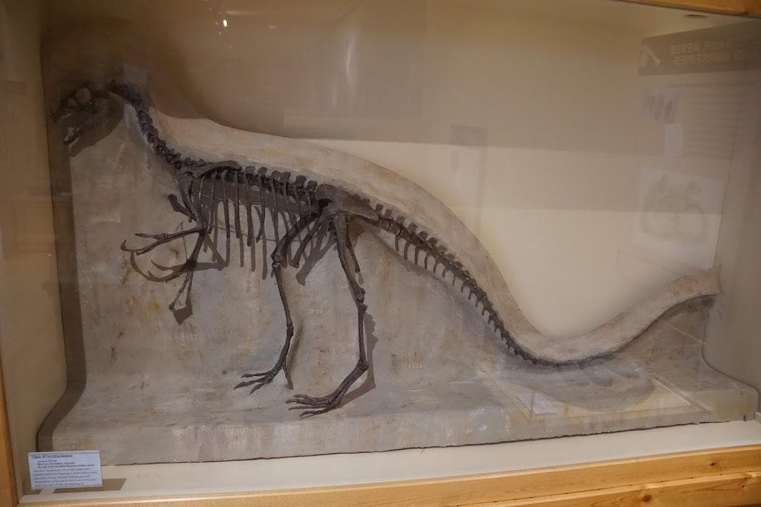 Morris Museum photo 4