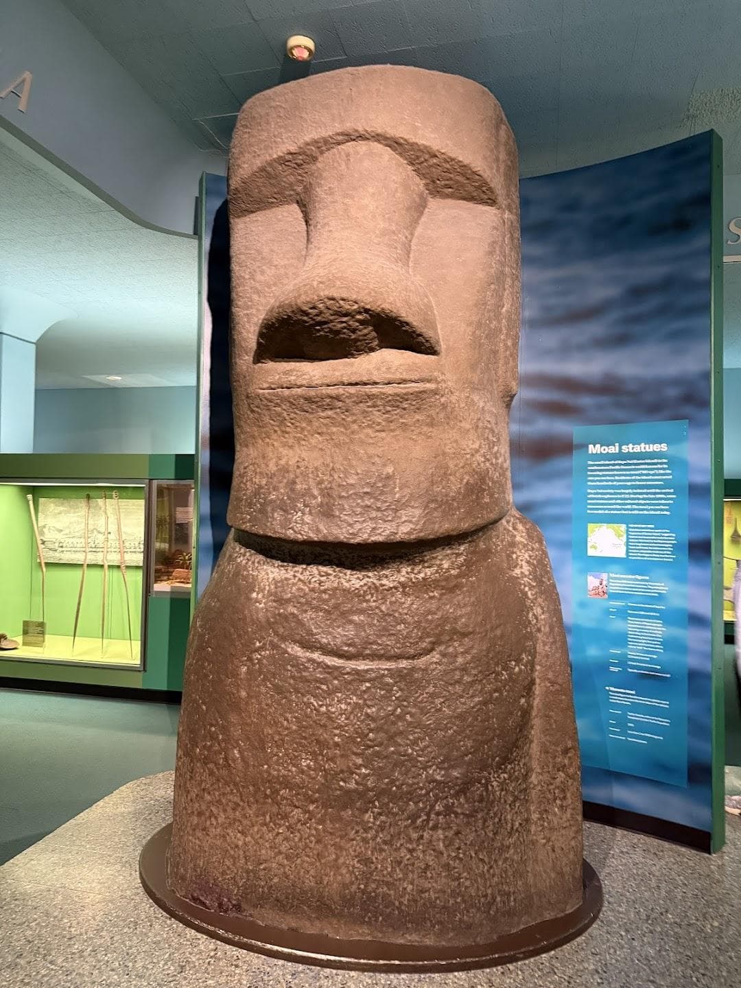 American Museum of Natural History photo 2