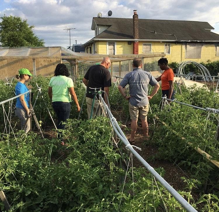 Far Rock Urban Agro Education Center photo 5