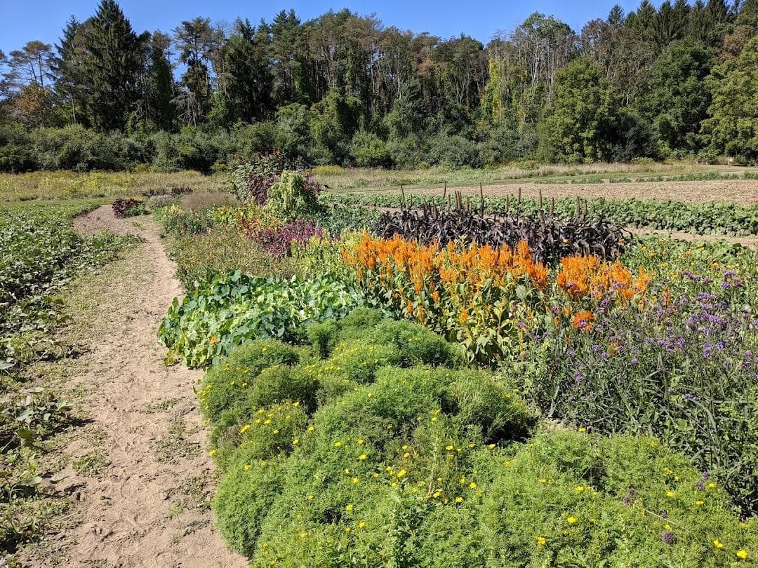 Mass Audubon's Drumlin Farm photo 2