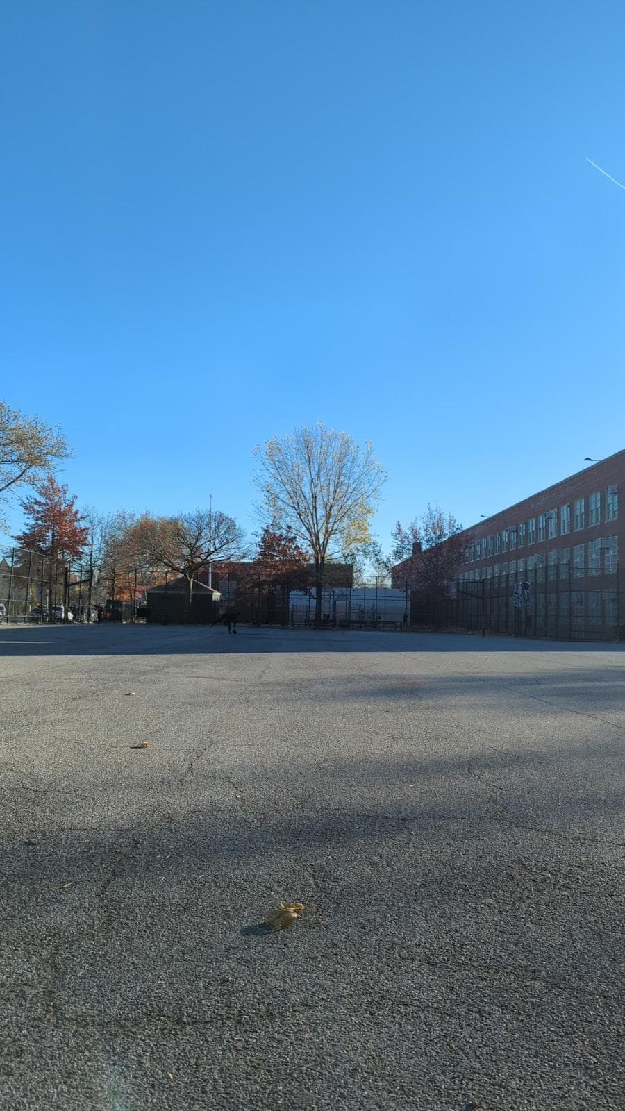 Castle Hill Playground photo 1