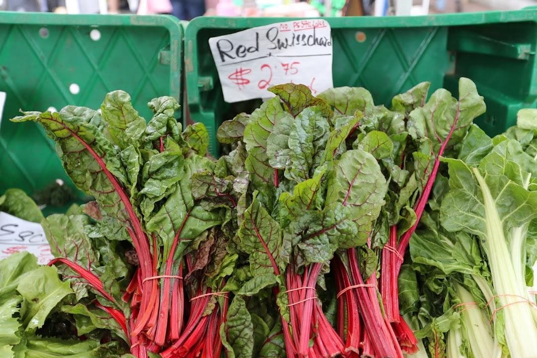 Tribeca Greenmarket photo 4