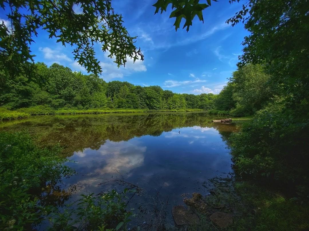 Long Pond Park photo 6
