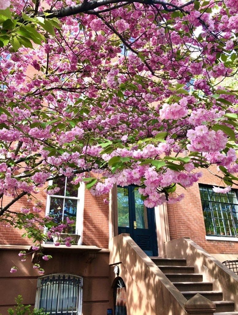 Greenwich Village photo 2