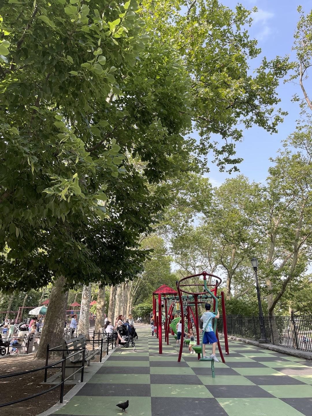 Catbird Playground photo 3